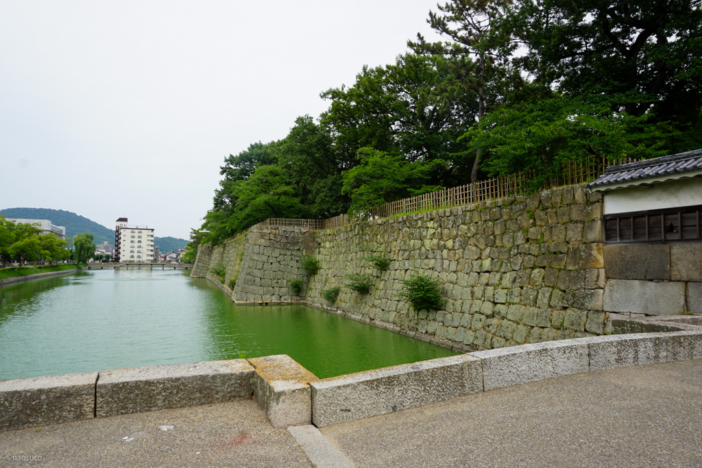 丸亀城の石垣の堀1