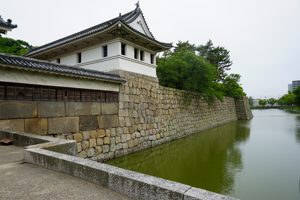 丸亀城の石垣の堀2